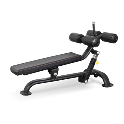   Bronze Gym BR-1005 -    