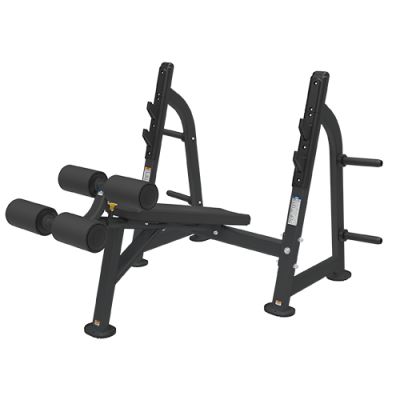   Bronze Gym BR-1013 -    