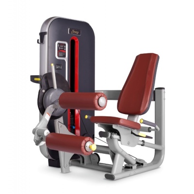  BRONZE GYM MT-013_C -    