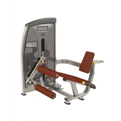  BRONZE GYM E-013_C -    