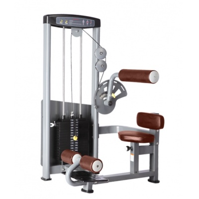  BRONZE GYM D-010_C -    