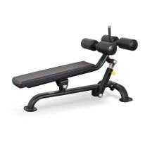   Bronze Gym BR-1005