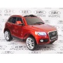     RiverToys Audi Q5